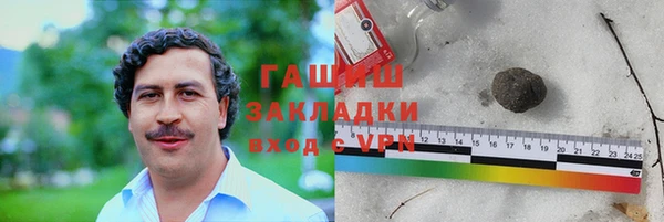 индика Няндома