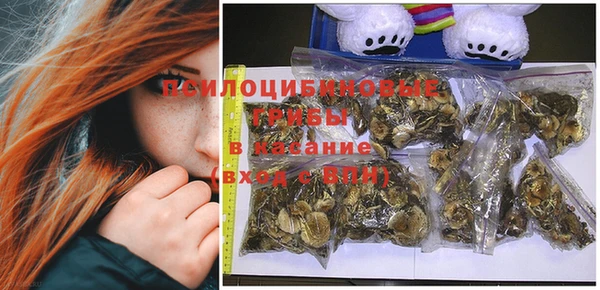 индика Няндома