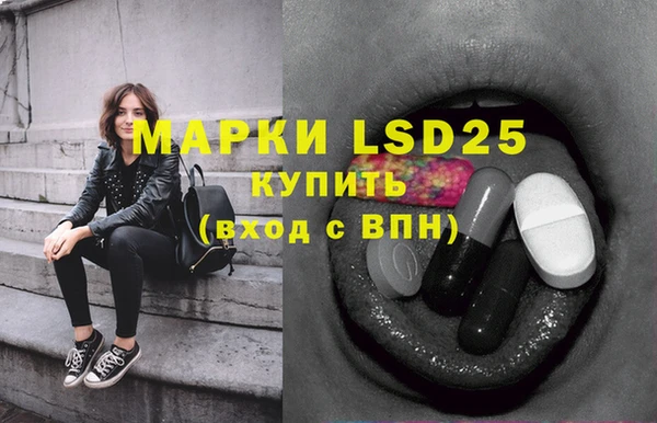 индика Няндома