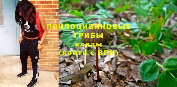 дурь Абаза