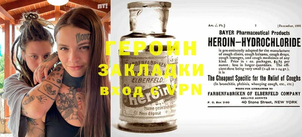 индика Няндома
