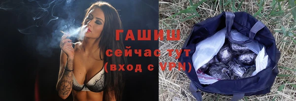 амф Ельня