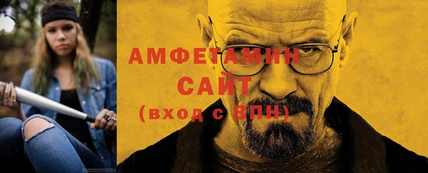 индика Няндома