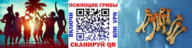 наркота  Кумертау  MEGA как зайти  Псилоцибиновые грибы ЛСД 